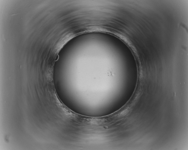 X0000101690905200807171432