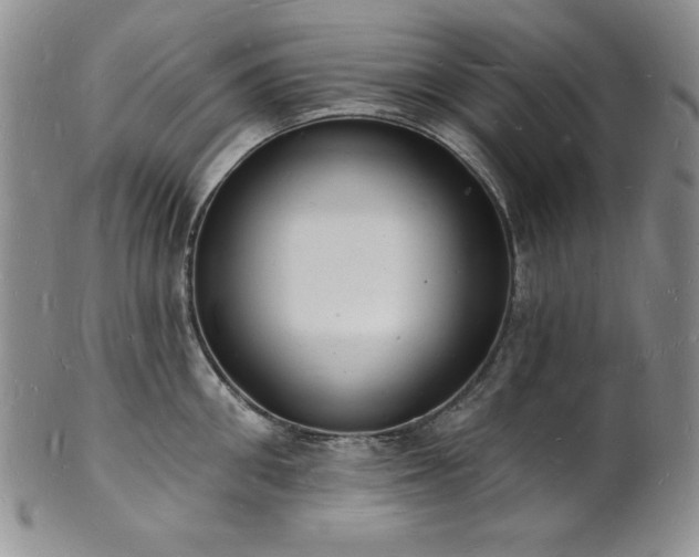 X0000101690906200807171432