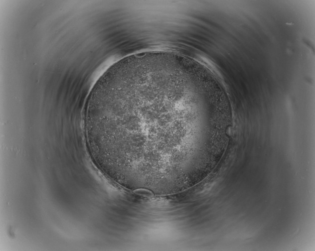 X0000101690907200807171432