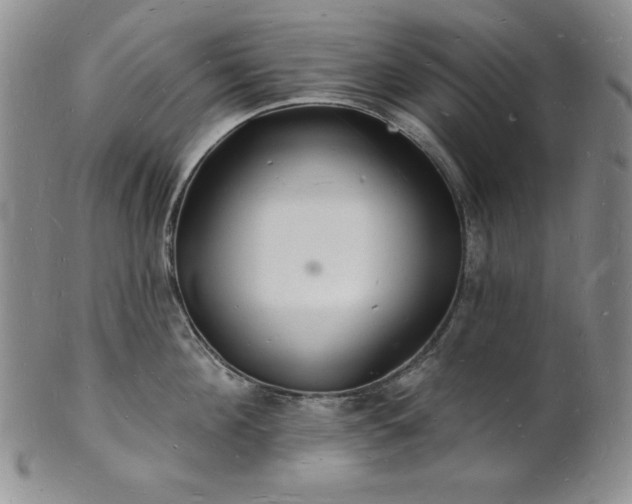 X0000101690908200807171432