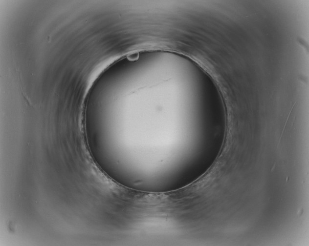 X0000101690912200807171432