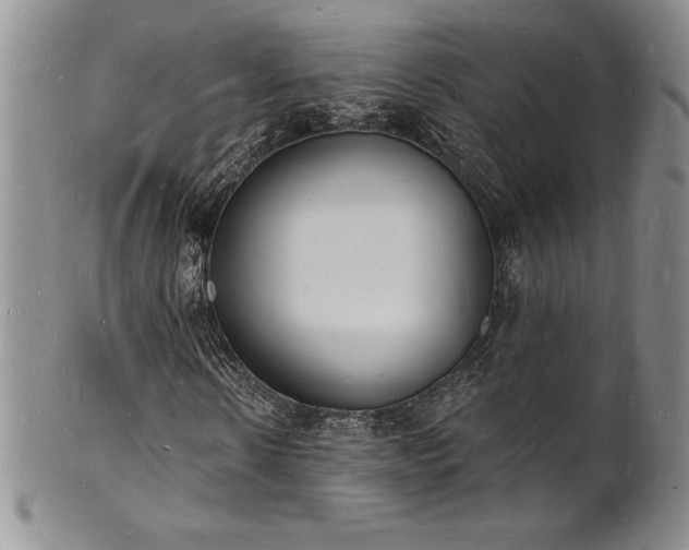 X0000101690914200807171432