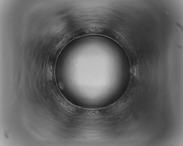 X0000101690915200807171432