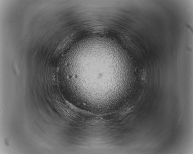 X0000101690916200807171432