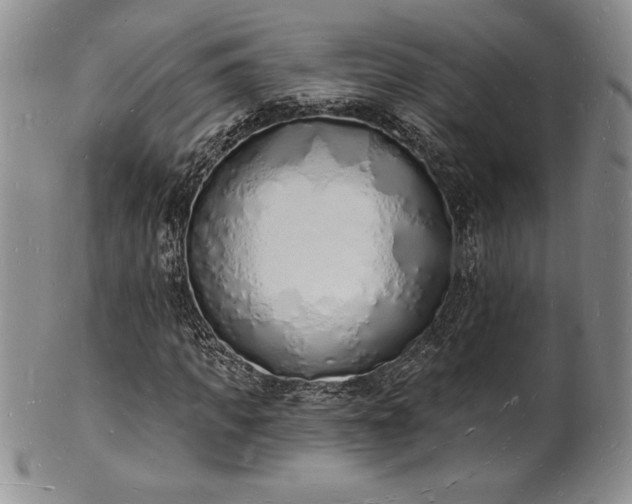 X0000101690917200807171432