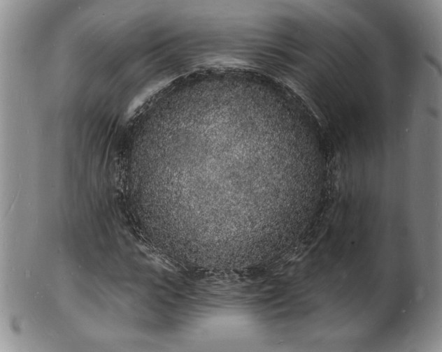 X0000101690919200807171432