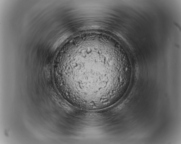 X0000101690921200807171432