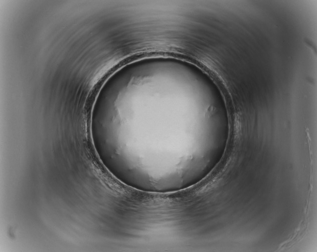 X0000101690925200807171432