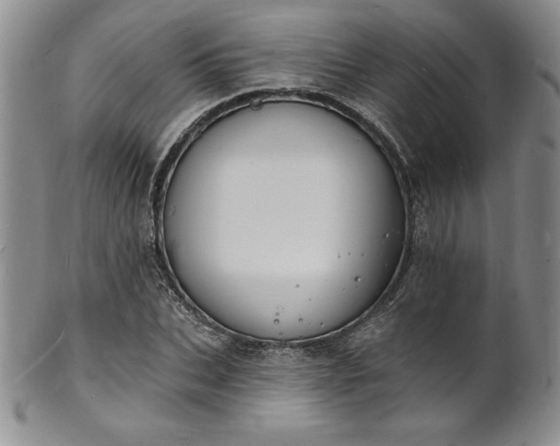 X0000101690927200807171432