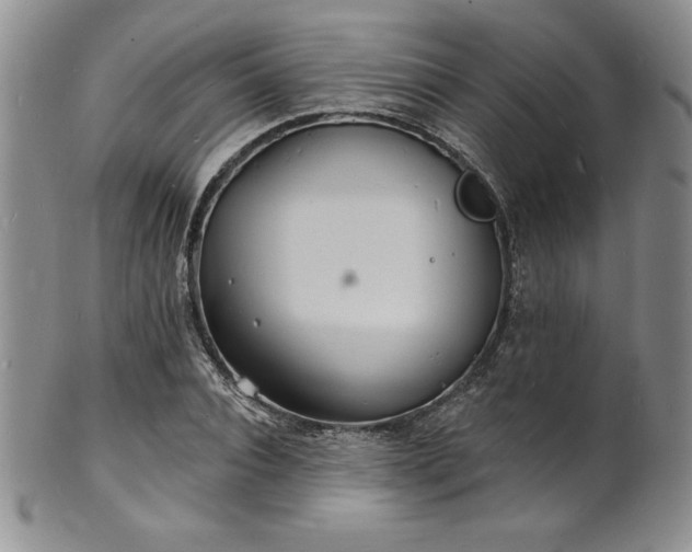 X0000101690928200807171432