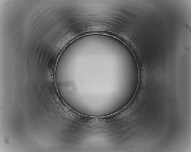 X0000101690929200807171432