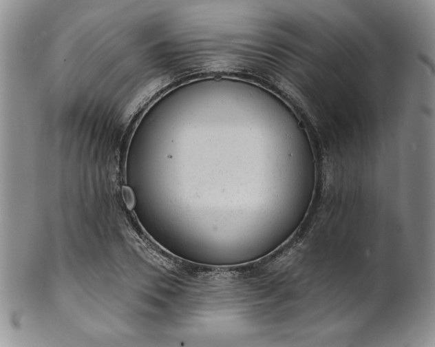 X0000101690930200807171432