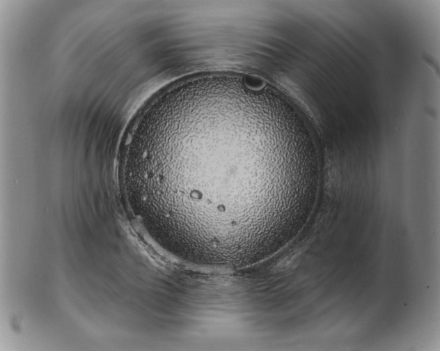 X0000101690932200807171432