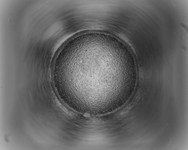 X0000101690935200807171432