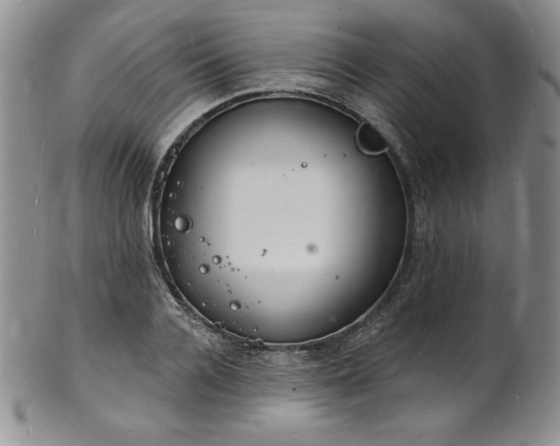 X0000101690936200807171432