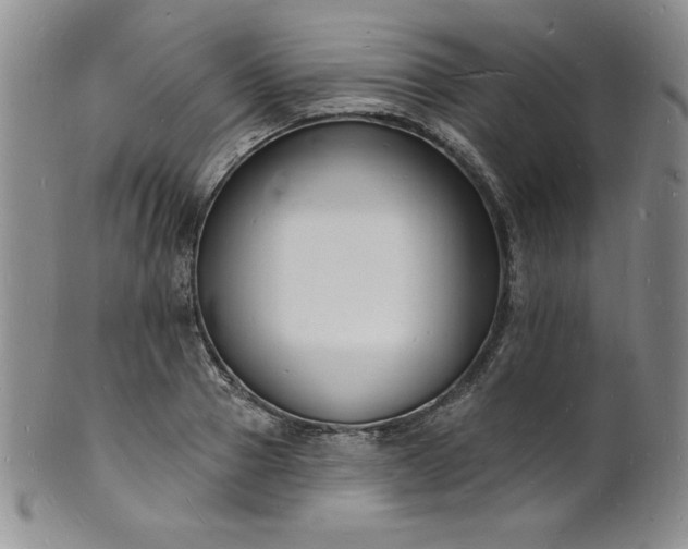 X0000101690937200807171432