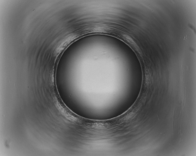 X0000101690938200807171432