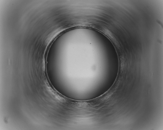 X0000101690940200807171432