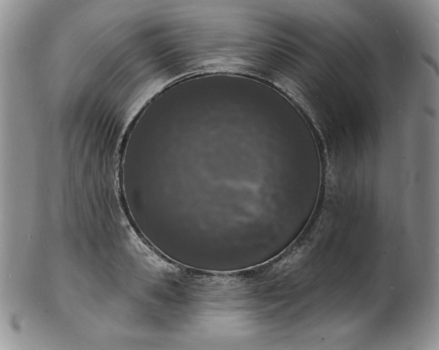 X0000101690941200807171432