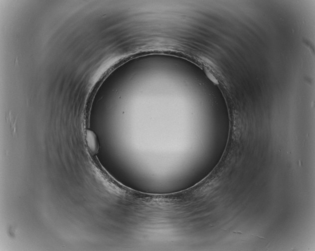 X0000101690942200807171432