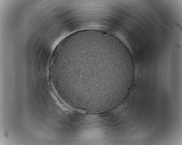 X0000101690944200807171432