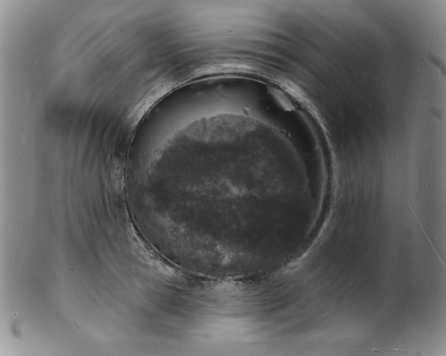 X0000101690945200807171432