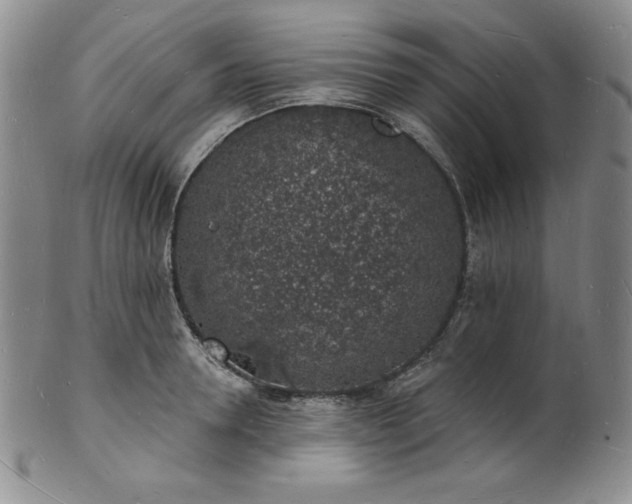 X0000101690946200807171432