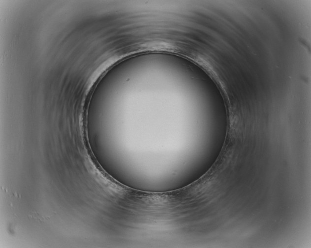 X0000101690947200807171432