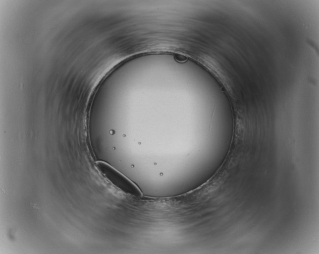 X0000101690948200807171432