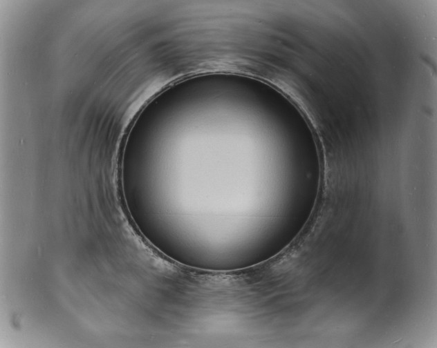 X0000101690949200807171432