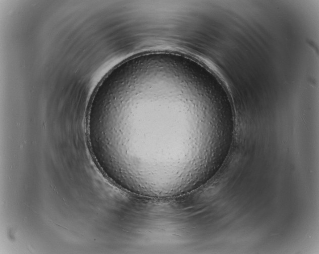 X0000101690951200807171432