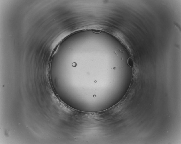 X0000101690952200807171432