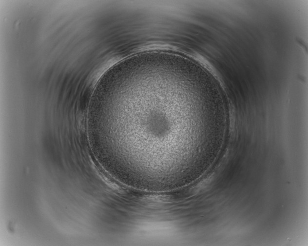 X0000101690953200807171432