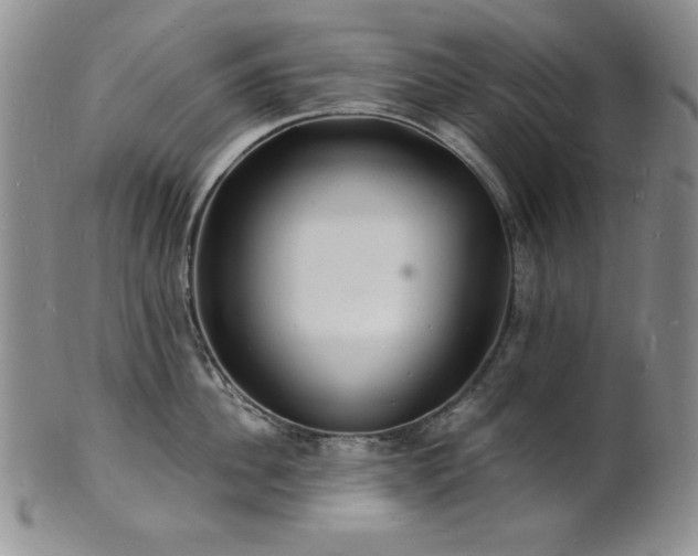 X0000101690956200807171432