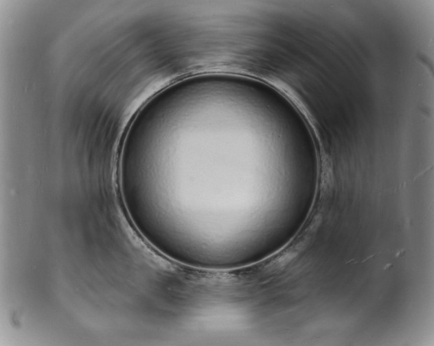 X0000101690957200807171432