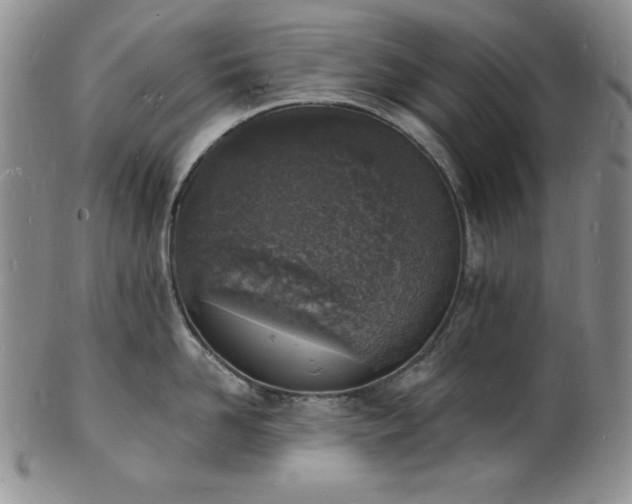 X0000101690958200807171432