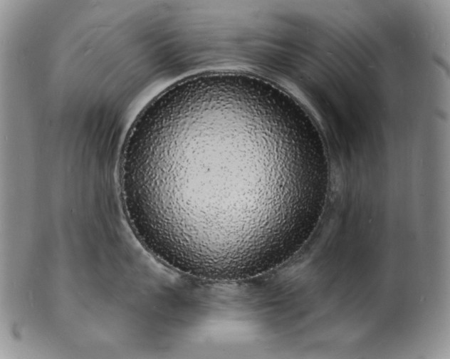 X0000101690959200807171432