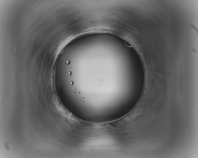 X0000101690960200807171432