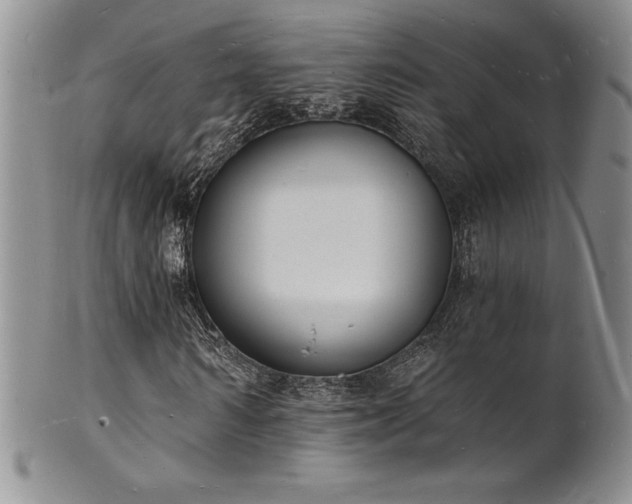 X0000101690962200807171432