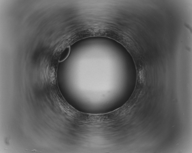 X0000101690963200807171432