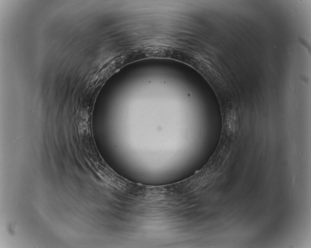 X0000101690964200807171432