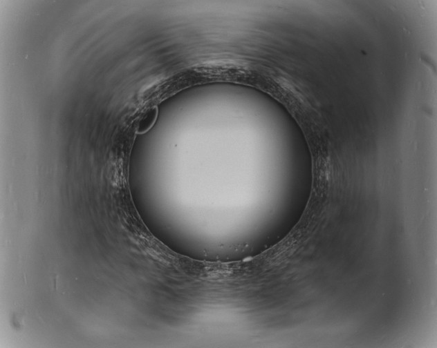 X0000101690965200807171432