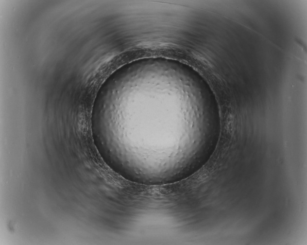 X0000101690966200807171432