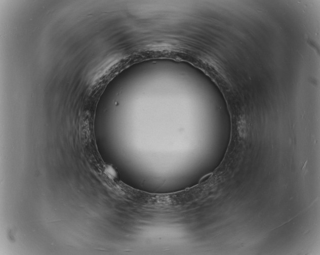 X0000101690968200807171432