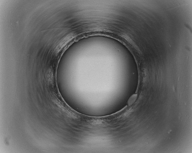 X0000101690969200807171432