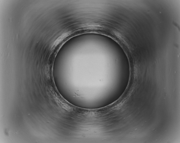 X0000101690970200807171432