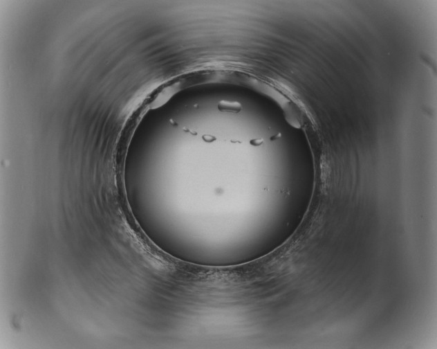 X0000101690972200807171431