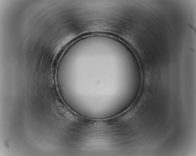 X0000101690974200807171431