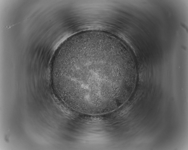 X0000101690975200807171431