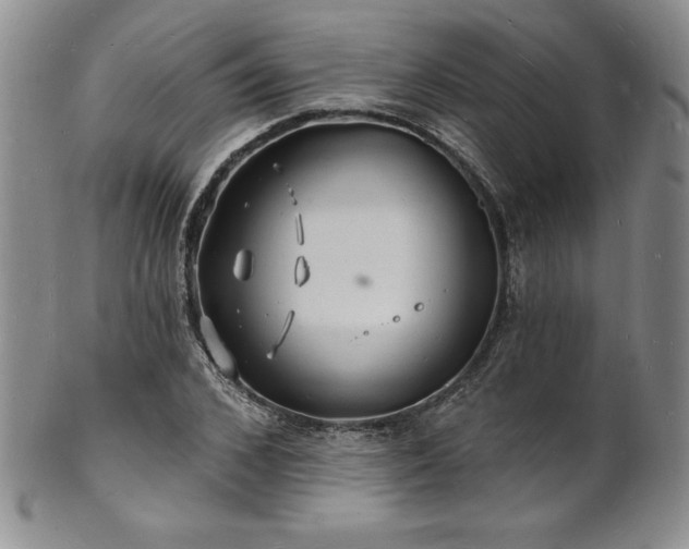 X0000101690976200807171431